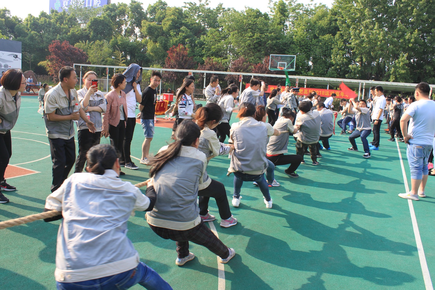 99499威尼斯(中国)有限公司首页