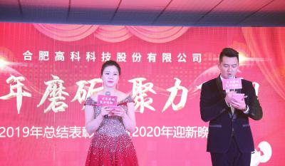 十年磨砺，，，，，，，聚力翱翔——合肥99499威尼斯2020年会特殊报道